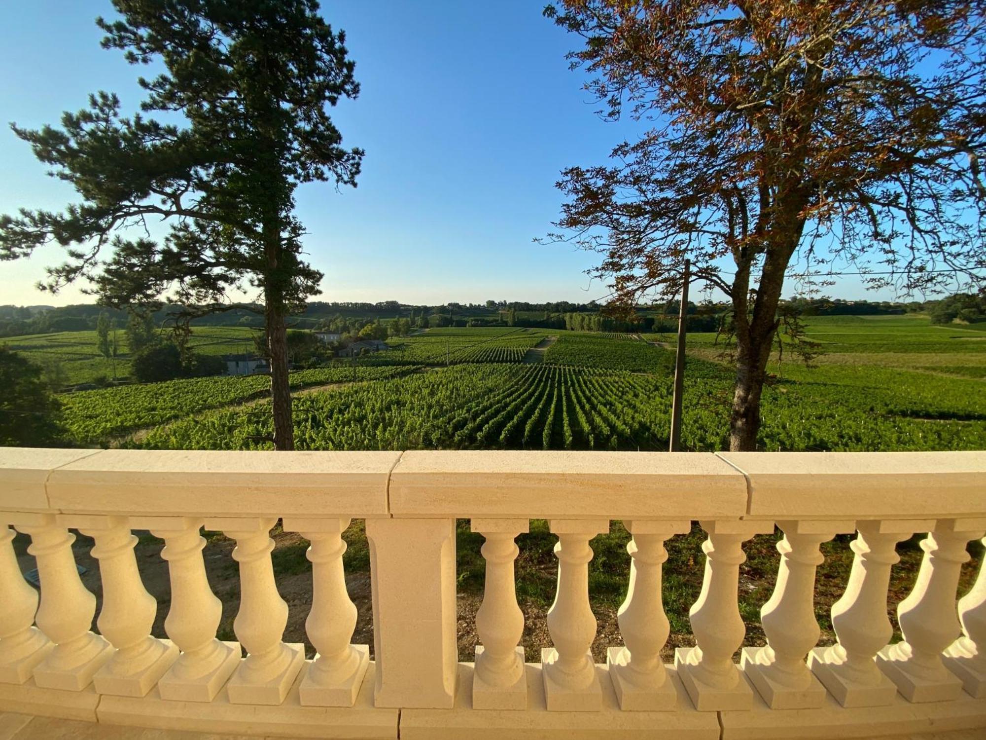 La Reserve Du Chateau De Roques Puisseguin Eksteriør billede